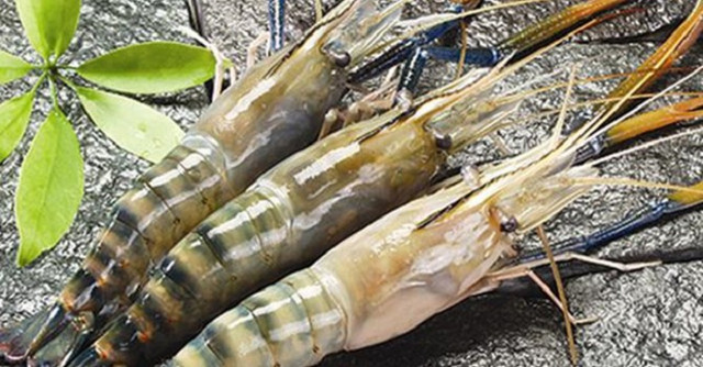 Thực phẩm Sao Ta đạt gần 23 triệu USD doanh thu trong tháng 10 Thuc pham Sao Ta dat gan 23 trieu USD doanh thu trong thang 10