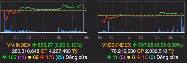 Thi truong giang co, nguoi mua co phieu 'tra da' ITA va HQC dang ‘ket hang’