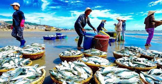 Nam Việt báo lãi giảm 33% trong quý 4/2019, nợ Chủ tịch hàng trăm tỷ đồng Nam Viet bao lai giam 33% trong quy 4/2019, no Chu tich hang tram ty dong