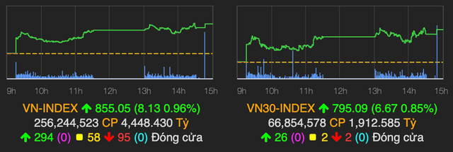 Thị trường thăng hoa, VN-Index tăng hơn 8 điểm kết phiên 13/8 Thi truong thang hoa, VN-Index tang hon 8 diem ket phien 13/8