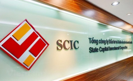 SCIC đấu giá cả lô 2,9 triệu cổ phần một công ty con của Dược Cửu Long SCIC dau gia ca lo 2,9 trieu co phan mot cong ty con cua Duoc Cuu Long