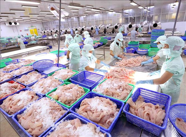 Lỗ luỹ kế của Agifish đã lên đến 535 tỷ, gấp đôi vốn góp chủ sở hữu Lo luy ke cua Agifish da len den 535 ty, gap doi von gop chu so huu