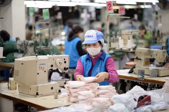 Vinatex sap chi 250 ty dong tra co tuc ngay trong thang 9