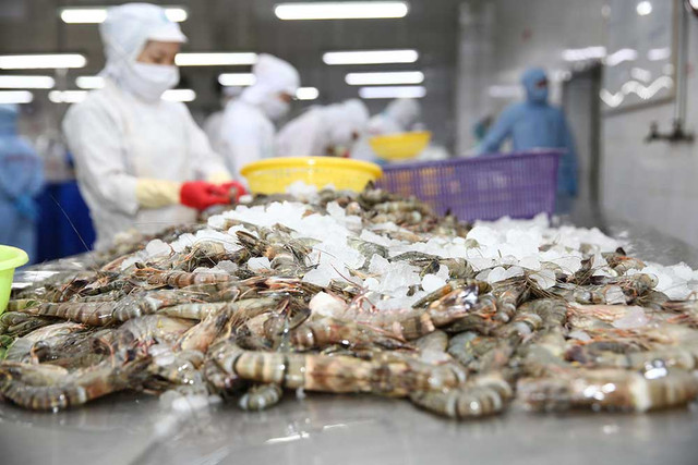 Minh Phú dự kiến góp 398 tỷ đồng để tăng vốn tại 2 công ty thuỷ sản Minh Phu du kien gop 398 ty dong de tang von tai 2 cong ty thuy san