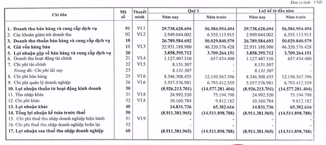 Ong chu Vodka Ha Noi tiep tuc lo 9 ty quy 1, nang lo luy ke gap doi von