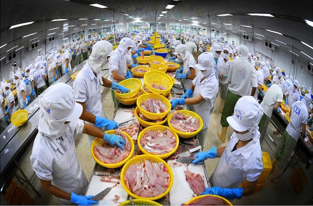 Vĩnh Hoàn: Lãi quý 3 giảm 40%, khoản đầu tư chứng khoán gần 130 tỷ đồng Vinh Hoan: Lai quy 3 giam 40%, khoan dau tu chung khoan gan 130 ty dong