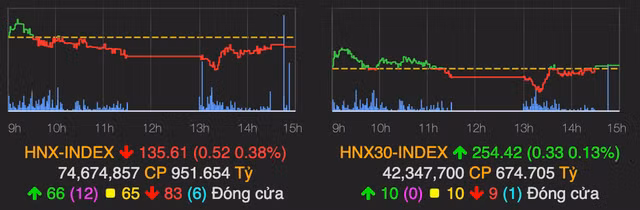 VN-Index giam gan 1 diem, rieng co phieu ban le van giu sac xanh-Hinh-2