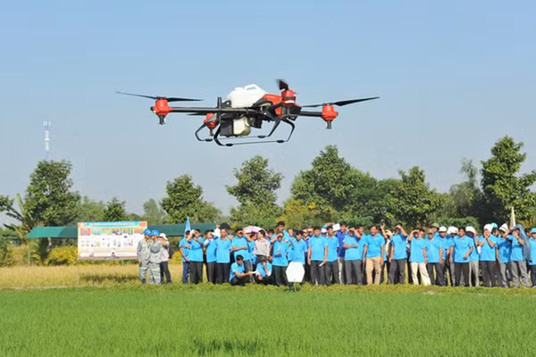 Tap doan Loc Troi lap cong ty logistics von 25 ty dong