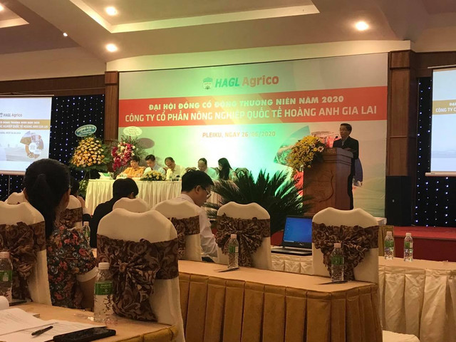 ĐHĐCĐ HNG: Đầu tư thêm vào dứa, khai thác cao su nhiều có thể lỗ DHDCD HNG: Dau tu them vao dua, khai thac cao su nhieu co the lo