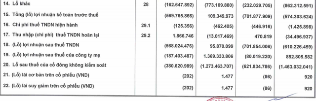 HAGL báo lỗ hơn 187 tỷ đồng trong quý 3/2020 - Hình 2 HAGL bao lo hon 187 ty dong trong quy 3/2020-Hinh-2