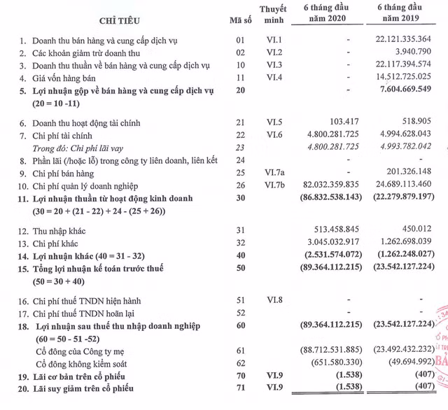 BII lo nang den 89 ty dong trong ban nien 2020 sau kiem toan