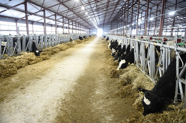 Nữ đại gia Thái Hương: Nhà sáng lập TH True Milk đến thuyền trưởng của BacABank - Hình 2 Nu dai gia Thai Huong: Nha sang lap TH True Milk den thuyen truong cua BacABank-Hinh-2