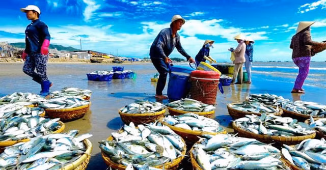 Doanh nghiep thuy san 'khoc' vi COVID-19: AAM lai rong giam den 79%, chi dat 666 trieu dong