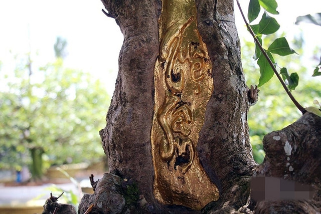 Đại gia Việt và các thú vui tốn tiền tỷ - Hình 9 Dai gia Viet va cac thu vui ton tien ty-Hinh-9