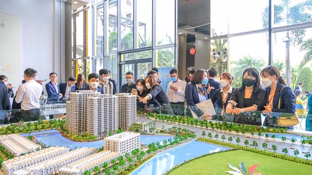 Phat Dat huy dong 1.200 ty dong tu chao ban co phieu cho co dong hien huu-Hinh-2