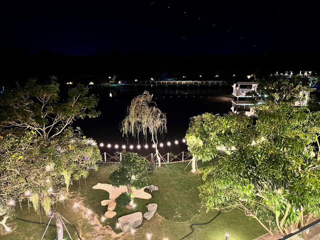 Tan muc khu vuon ben ho trong biet thu cua Cao Thai Son-Hinh-2