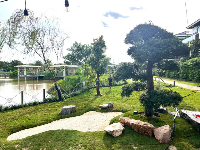 Tan muc khu vuon ben ho trong biet thu cua Cao Thai Son-Hinh-5