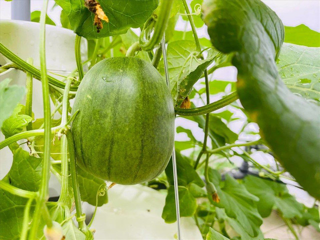 Cận cảnh căn biệt thự đẹp như cung điện của MC Đại Nghĩa - Hình 8 Can canh can biet thu dep nhu cung dien cua MC Dai Nghia-Hinh-8