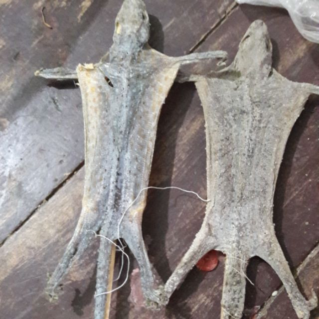 Những đặc sản miền Tây trông ghê sợ nhưng giá cực đắt đỏ - Hình 5 Nhung dac san mien Tay trong ghe so nhung gia cuc dat do-Hinh-5