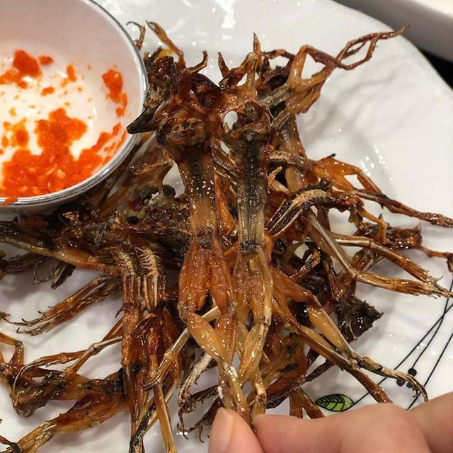 Những đặc sản miền Tây trông ghê sợ nhưng giá cực đắt đỏ - Hình 2 Nhung dac san mien Tay trong ghe so nhung gia cuc dat do-Hinh-2