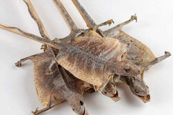 Những đặc sản miền Tây trông ghê sợ nhưng giá cực đắt đỏ - Hình 6 Nhung dac san mien Tay trong ghe so nhung gia cuc dat do-Hinh-6