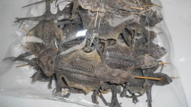 Những đặc sản miền Tây trông ghê sợ nhưng giá cực đắt đỏ - Hình 7 Nhung dac san mien Tay trong ghe so nhung gia cuc dat do-Hinh-7