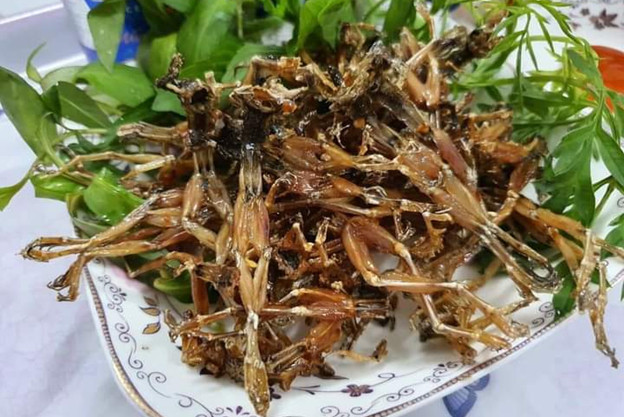 Những đặc sản miền Tây trông ghê sợ nhưng giá cực đắt đỏ Nhung dac san mien Tay trong ghe so nhung gia cuc dat do
