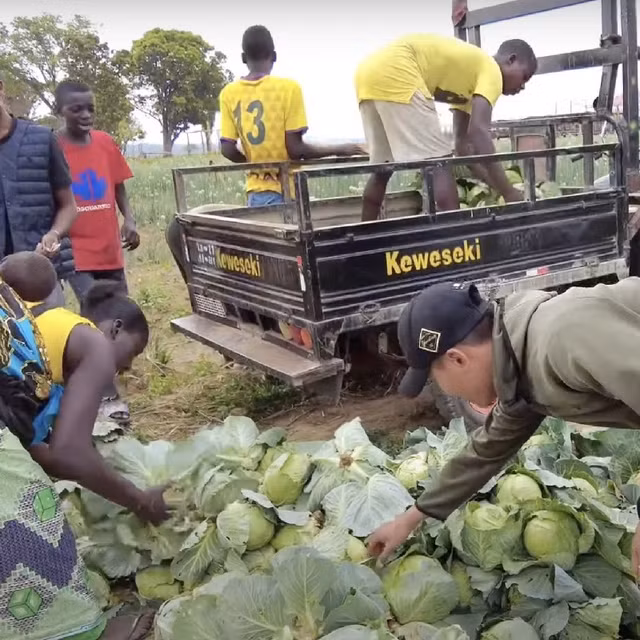 Tan muc nong trai xanh muot cua Quang Linh Vlog-Hinh-8