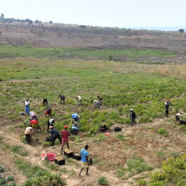 Tận mục nông trại xanh mướt của Quang Linh Vlog - Hình 7 Tan muc nong trai xanh muot cua Quang Linh Vlog-Hinh-7