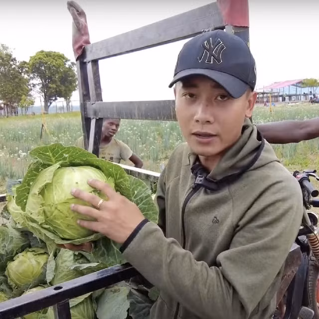 Tan muc nong trai xanh muot cua Quang Linh Vlog-Hinh-9