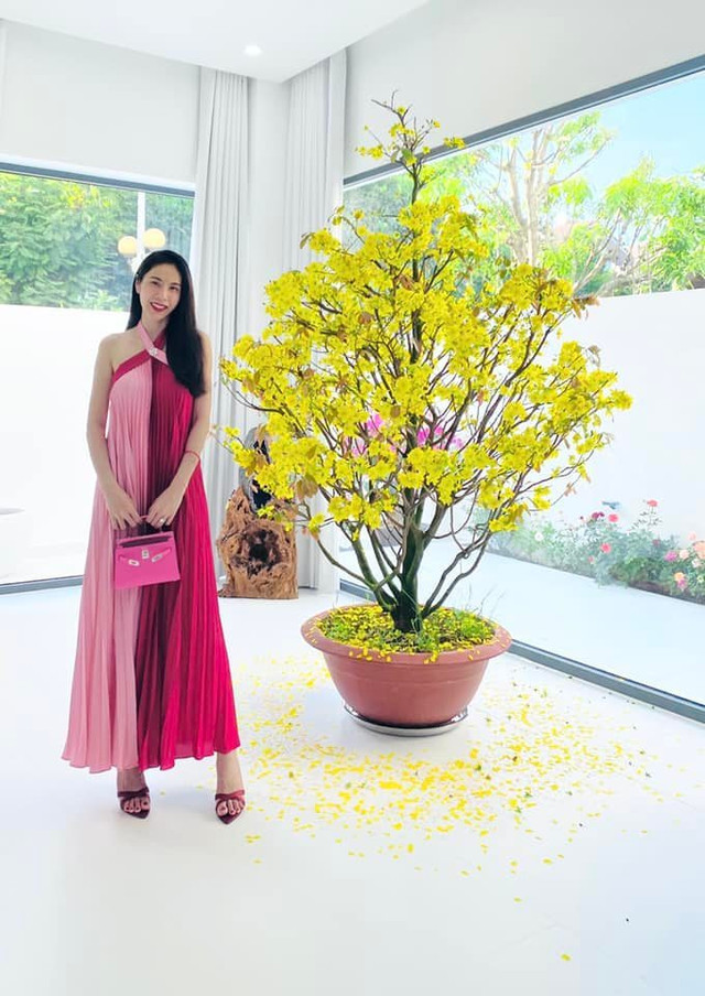 Biệt thự sau xây mới của Thuỷ Tiên - Công Vinh như nào? - Hình 2 Biet thu sau xay moi cua Thuy Tien - Cong Vinh nhu nao?-Hinh-2