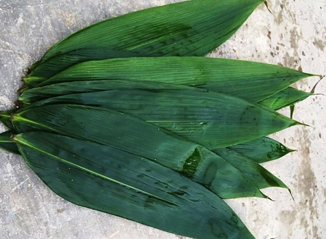 3 loại lá giúp người dân làm giàu - Hình 10 3 loai la giup nguoi dan lam giau-Hinh-10