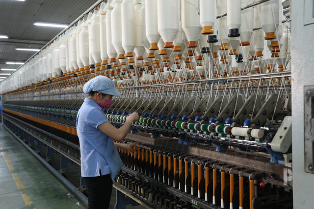 Chu tich Tap doan Det may: Neu khong co su ho tro, co the mat nganh soi-Hinh-2