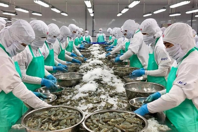 Vĩnh Hoàn: Doanh thu xuất khẩu sang Trung Quốc tiếp tục tăng - Hình 2 Vinh Hoan: Doanh thu xuat khau sang Trung Quoc tiep tuc tang-Hinh-2