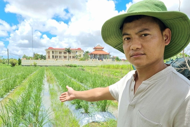 Những loại cỏ dại giúp nông dân đổi đời Nhung loai co dai giup nong dan doi doi