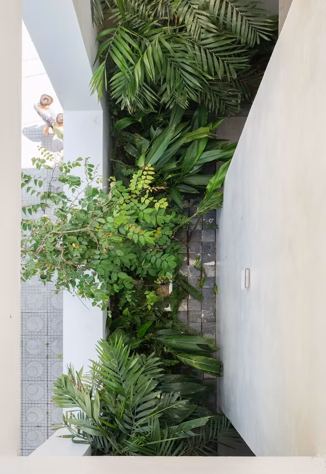 Nha huong Tay ngap gio va anh sang cuc an tuong o Dien Bien-Hinh-4