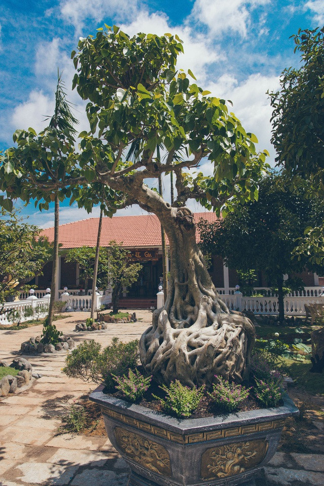Khám phá biệt phủ 10.000m2 phong cách cổ xưa của Lý Nhã Kỳ - Hình 11 Kham pha biet phu 10.000m2 phong cach co xua cua Ly Nha Ky-Hinh-11