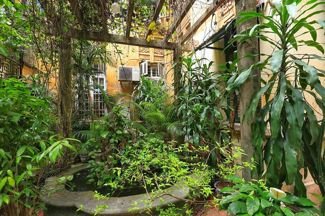 Tận mục biệt thự trăm tuổi 1.000m2 giữa lòng phố cổ Hà Nội - Hình 11 Tan muc biet thu tram tuoi 1.000m2 giua long pho co Ha Noi-Hinh-11