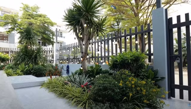 Nam 2023, nhung sao Viet nao tau nha bao hieu cha me?-Hinh-3