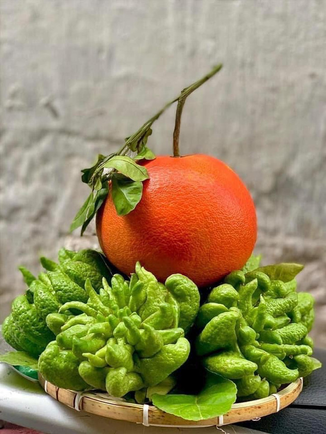 Loại bưởi tiến vua có gì đặc biệt mà cứ đến Tết nhà giàu tranh nhau mua? - Hình 5 Loai buoi tien vua co gi dac biet ma cu den Tet nha giau tranh nhau mua?-Hinh-5