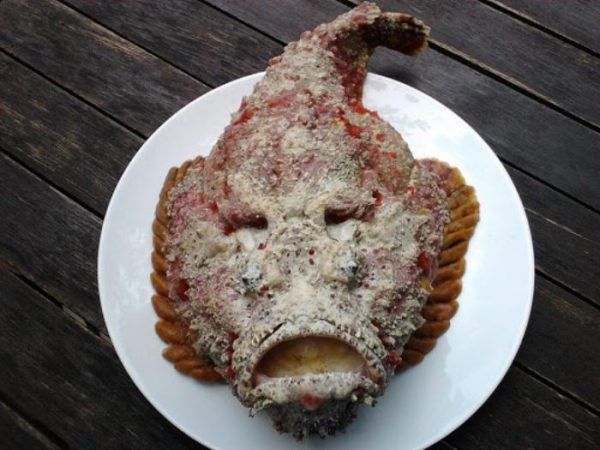 Cá mặt quỷ xấu xí nhưng giá gần 10 triệu đồng/con - Hình 4 Ca mat quy xau xi nhung gia gan 10 trieu dong/con-Hinh-4