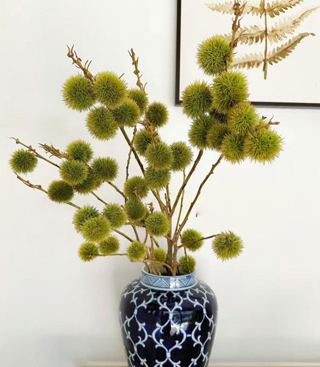 Bất ngờ với 5 cành quả lạ tạo trend chợ mạng năm 2023 - Hình 9 Bat ngo voi 5 canh qua la tao trend cho mang nam 2023-Hinh-9