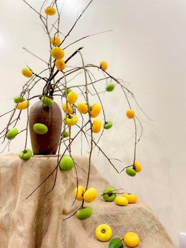 Bất ngờ với 5 cành quả lạ tạo trend chợ mạng năm 2023 Bat ngo voi 5 canh qua la tao trend cho mang nam 2023