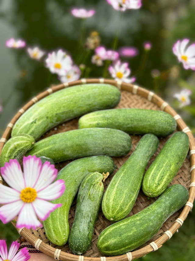 Khu vườn ngập hoa trái như khu sinh thái của Mỹ Tâm - Hình 3 Khu vuon ngap hoa trai nhu khu sinh thai cua My Tam-Hinh-3