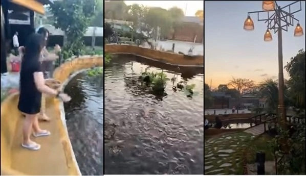 Tận mục biệt thự ngập hoa trái của Lý Hùng - Lê Tuấn Anh - Hình 15 Tan muc biet thu ngap hoa trai cua Ly Hung - Le Tuan Anh-Hinh-15