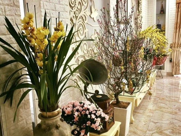 Tận mục biệt thự ngập hoa trái của Lý Hùng - Lê Tuấn Anh - Hình 12 Tan muc biet thu ngap hoa trai cua Ly Hung - Le Tuan Anh-Hinh-12