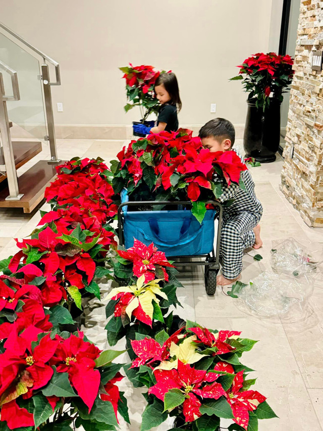 Vo cu Dan Truong thay ao moi cho biet thu 1.500m2 ruc sac hoa-Hinh-4