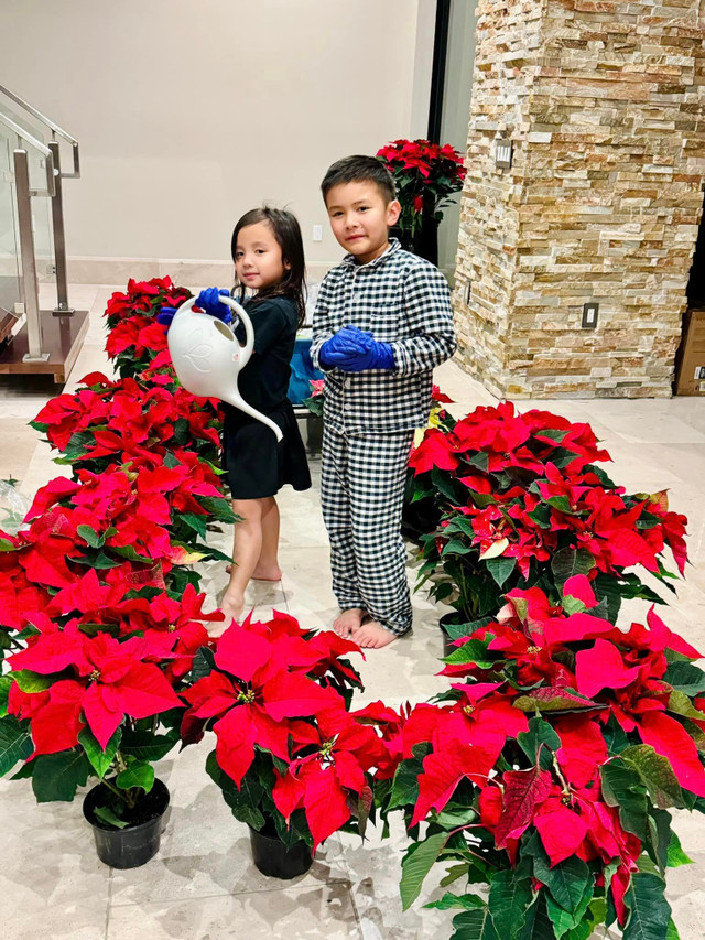 Vo cu Dan Truong thay ao moi cho biet thu 1.500m2 ruc sac hoa-Hinh-3