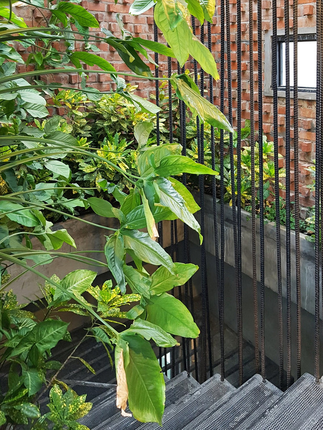 Nhà nghỉ hoài cổ đẹp “phát hờn” giữa Đà Nẵng trên báo Mỹ - Hình 10 Nha nghi hoai co dep “phat hon” giua Da Nang tren bao My-Hinh-10