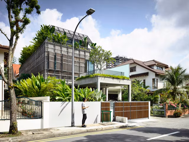 'Rung nhiet doi' ben trong ngoi nha giua pho-Hinh-2